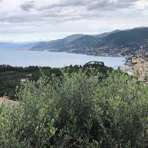 Acqua Marina , Camogli Italia